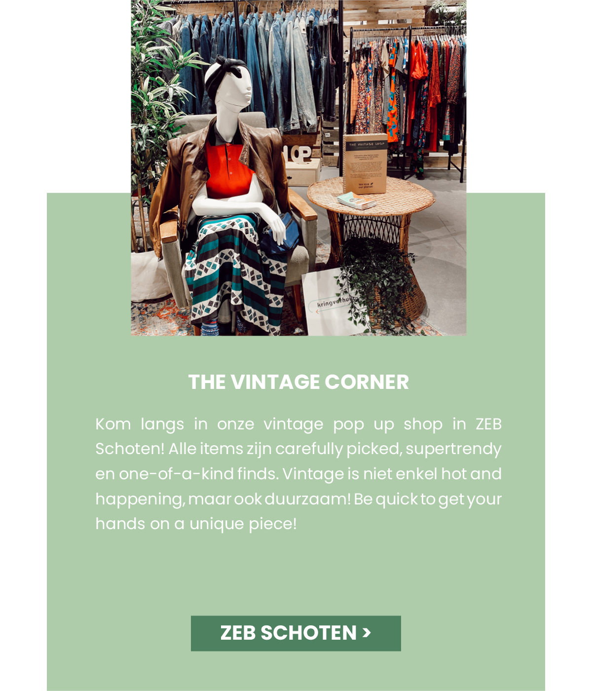 The Vintage Corner in ZEB Schoten